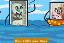 تعويم الجنيه وارتفاع الدولار 7 Floating the pound and rising the dollar تعويم الجنيه وارتفاع الدولار