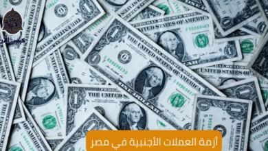 أزمة العملات الأجنبية في مصر The crisis of foreign currency in Egypt