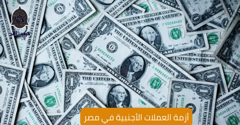 أزمة العملات الأجنبية في مصر The crisis of foreign currency in Egypt
