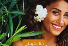 دينا الشربيني؛ وفاة والدها، وأهم أعمالها الفنية 10 دينا الشربيني