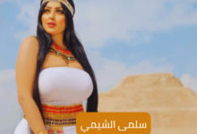 سلمى الشيمي؛ ما هي قصة تهمتها، والعقوبات التي تنتظرها 7 سلمى الشيمي