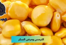 الترمس ومرض السكر؛ 3 فوائد وما يُقابلها من أضرار الترمس لمريض السكر 7 الترمس ومرض السكر Lupine and diabetes