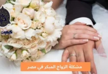 مشكلة الزواج المبكر في مصر؛ وأهم 5 ممارسات للحد منها أو تقليلها 6 مشكلة الزواج المبكر في مصر The problem of early marriage in Egypt