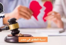 نسبة الطلاق في مصر؛ 8 سياسات متبعة لمواجهة ارتفاع نسبة الطلاق 7 نسبة الطلاق في مصر The divorce rate in Egypt