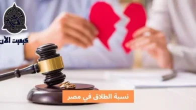 نسبة الطلاق في مصر The divorce rate in Egypt