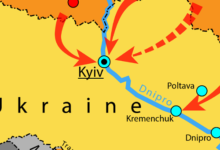 IMG 20230614 132542 500 x 500 pixel 2