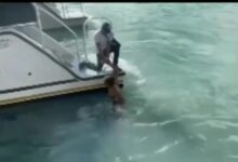 بينما كان يلاحق القارب ..يخرج من الماء من دوق قدم 6 IMG ٢٠٢٣٠٦٢٠ ٢١٢٦٣٢