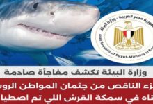 وزارة البيئة تكشف مفاجأة صادمة: الجزء الناقص من جثمان المواطن الروسي لقيناه في سمكة القرش اللي تم اصطيادها 6 img 1686404241572