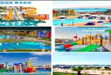 أفضل الأماكن السياحية في العين السخنة 7 img 1689851105726