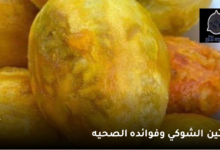 التين الشوكي وفوائده الصحيه 6 التين الشوكي وفوائده الصحيه