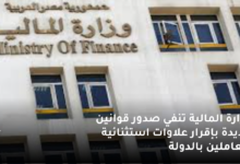 وزارة المالية تنفي صدور قوانين جديدة بإقرار علاوات استثنائية للعاملين بالدولة 6 وزارة المالية تنفي صدور قوانين جديدة بإقرار علاوات استثنائية للعاملين بالدولة