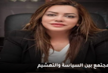 المجتمع بين السياسة والتهشيم 7 المجتمع بين السياسة والتهشيم