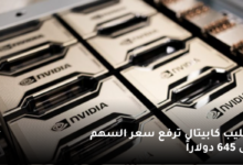 فيليب كابيتال ترفع سعر السهم إلى 645 دولاراً