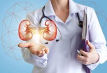 صحة الكلى وطرق الوقاية من الفشل الكلوي  7 صحة الكلى وطرق الوقاية من الفشل الكلوي