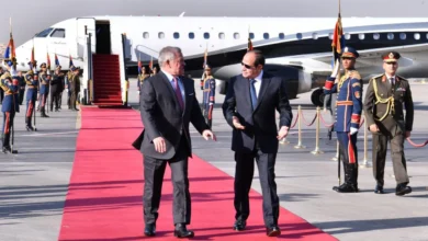 الرئيس السيسي والعاهل الأردني يرحبان بالهدنة الإنسانية بغزة
