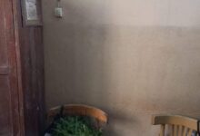 FB IMG 1701355664106