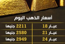 IMG ٢٠٢٣١١٠٨ ١٢٤٠١٥