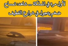 شاهد تمساح ضخم يطوف شوارع القطيف بالسعودية لاول مرة  6 img 1699386997897