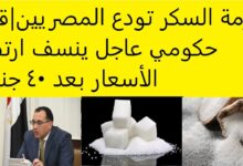 قرار عاجل من الحكومة ينسف أسعار السكر بعد وصوله 40 جنيه ؟ 6 قرار عاجل من الحكومة ينسف أسعار السكر