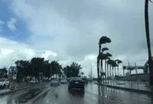 غدا أمطار متفاوتة الشدة تصل السيول على سيناء والعظمى بالقاهرة 24 درجة 8 غدا أمطار متفاوتة الشدة تصل السيول على سيناء والعظمى بالقاهرة 24 درجة