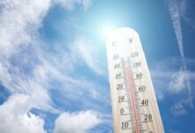 الأرصاد الجوية تشير إلى أن الطقس سيكون لطيفًا نهارًا وباردًا ليلاً 6 345559201 789167012567126 4796751105152949976 n 804