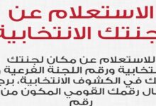 كيف تستعلم عن مكان لجنتك الانتخابية في محافظة السويس؟ 7 img 1702144893408