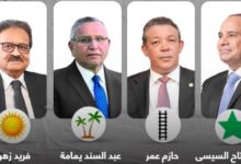 حزب العدل .. ارتفاع مستمر فى أعداد الناخبين أثناء اليوم الثالث 7 ارتفاع مستمر فى أعداد الناخبين أثناء اليوم الثالث