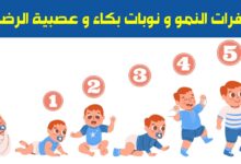طفرات النمو عند الرضيع وكيفية التعامل معها 11 طفرات النمو عند الرضيع