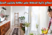 5 نصائح ذكية للحفاظ على نظافة وترتيب المنزل 7 img 1704996339506