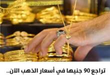 IMG ٢٠٢٤٠٣٠٣ ١٥٢٤٢١