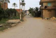 حي الجناين: واحة خضراء في قلب السويس 6 images 1 2