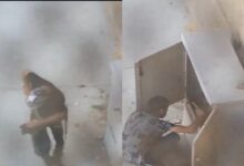 كشف ملابسات تداول مقطع فيديو يظهر سرقة بارات نحاسية من كابينة كهربائية بالقطامية 8 img 1719576365382