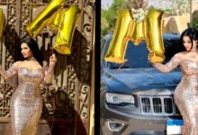 الفنانة إيمي البحيري تحتفل بتجاوز عدد متابعيها على «إنستجرام» المليون 6 الفنانة إيمي البحيري 06