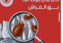القضاء علي البق معا الشركة العالمية 10 1723203216092