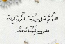 FB IMG 1733466953774