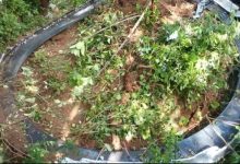 سقوط جسم فضائي ضخم في دولة أفريقية يثير الرعب.. تفاصيل الحادث  7 66374058591320250104060329329