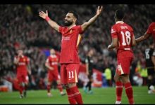 IMG ٢٠٢٥٠١٠١ ١٩٥٢٣٧