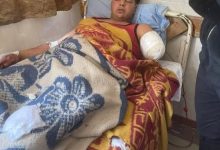 حكايات الضحية وتفاصيل مرعبة واتهامات بتجويع الأسود.. تفاصيل التهام نمر ليد مساعد انوسة كوتة في سيرك طنطا 5 IMG 20250402 WA0006