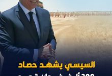 الرئيس السيسي يطلق فعاليات موسم الحصاد ويؤكد: 600 ألف فدان توفر دخل كريم لـ600 ألف أسرة 6 img 1747823889253