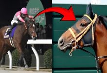 1749892111175 272j2o 2 0