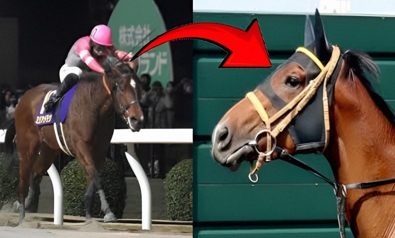 1749892111175 272j2o 2 0