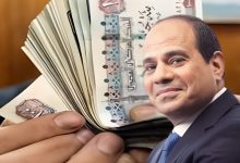 الرئيس يُصدق رسميًا على العلاوة الدورية وزيادة الحد الأدنى للأجور إلى 7000 جنيه: تفاصيل الزيادات الجديدة للعاملين بالدولة والقطاع العام 6 1750244762962 1bwx3e 2 0