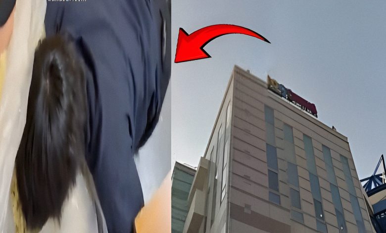 1751019679186 vo4sdw 2 0