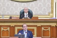 160 مليار جنيه للتموين والخبز.. موازنة 2025/2026 تُنصف ملايين المصريين 6 202504151215161516