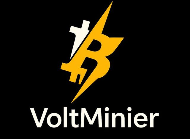 من التعدين إلى الاستثمار.. "فولت ماينر" تُحدث نقلة نوعية في عالم العملات الرقمية 20 IMG 20250601 WA0076