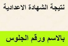 IMG ٢٠٢٥٠٦١٥ ١٨١٢١٩