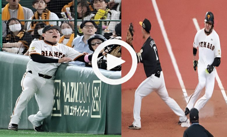 1753079695693 fxdk8q 2 0