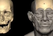 اكتشاف مذهل: أقدم حمض نووي مصري يكشف أصولًا غير متوقعة من العراق وإيران! 7 20250703020248248