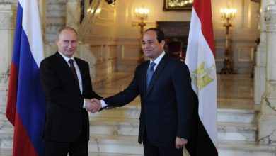 السيسي وبوتين عن الطيارة الروسية 2 3edfc9dcef3cfe6a250ae5635f1e11d5