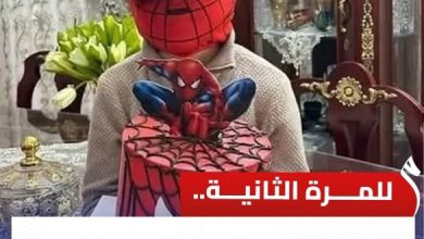 للمرة الثانية.. "سبايدر مان دمنهور" يخطف الأنظار في جلسة استئناف 4 IMG ٢٠٢٥٠٧٢١ ١٠٢٨٢٧